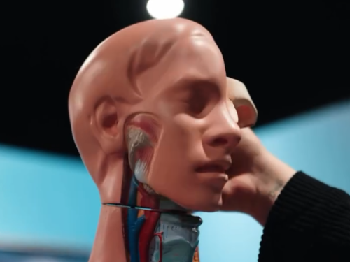 um projeto anatômico 