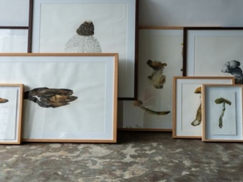 Exposição: "A eterna novidade do mundo", e o livro "Aquele que brota" de Filipe Lampejo