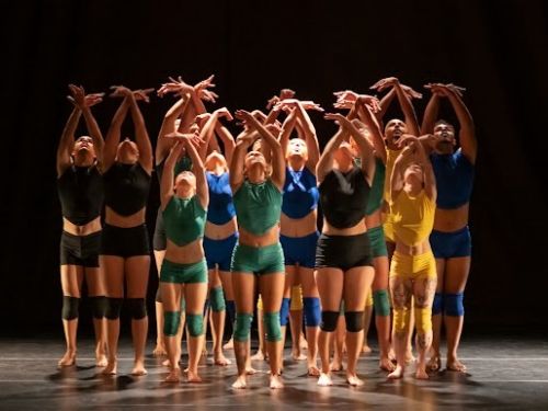 Grupo Experimental de Dança (GED)