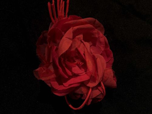 Espetáculo "Las Choronas"