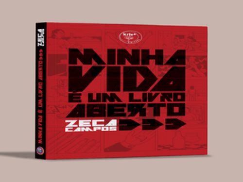 Imagem do livro Minha Vida é um Livro Aberto 