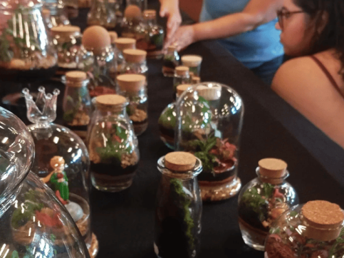 Feira Multiverso - Última do ano de 2025