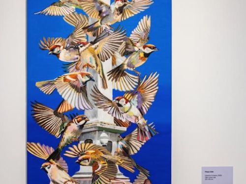 Praça Sete 2025 - Piccola Galleria da Casa Fiat de Cultura - Exposição Volta Funda, do artista Eduardo Fonseca