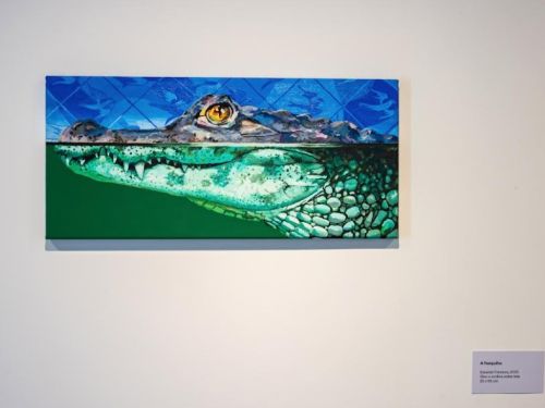 A Pampulha 2025 - Piccola Galleria da Casa Fiat de Cultura - Exposição Volta Funda, do artista Eduardo Fonseca