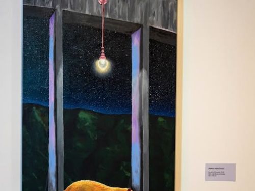 Viaduto Santa Tereza 2025 - Piccola Galleria da Casa Fiat de Cultura - Exposição Volta Funda, do artista Eduardo Fonseca