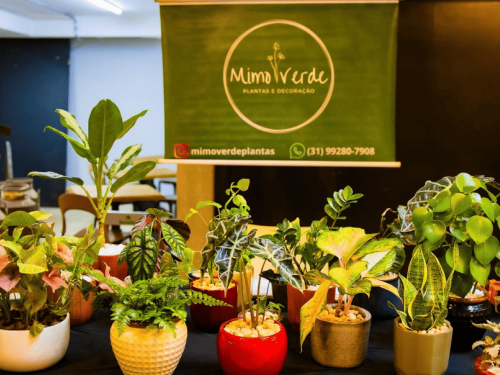 Feira de Natal no Mercado de Origem com Roda de Samba