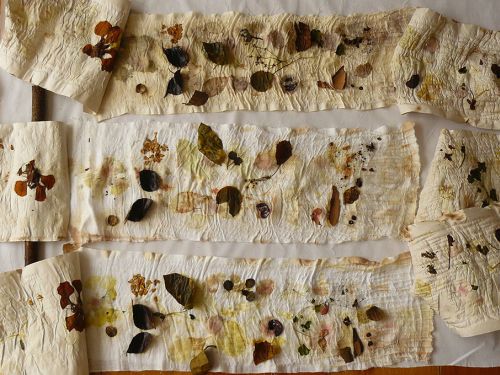 fly com informações do evento