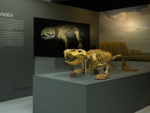 21 e 23.01 Oficina “Mapa Geológico Interativo” 