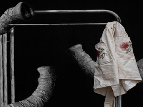 Imagem de uma tromba de elefante em tela preta 