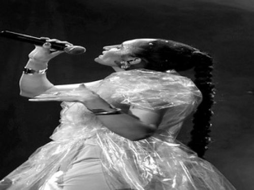 Imagem da contara Calu 