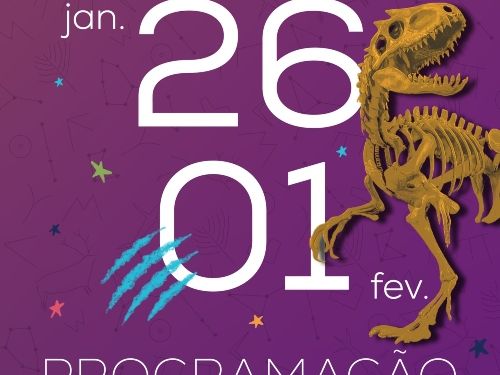 fly com informações