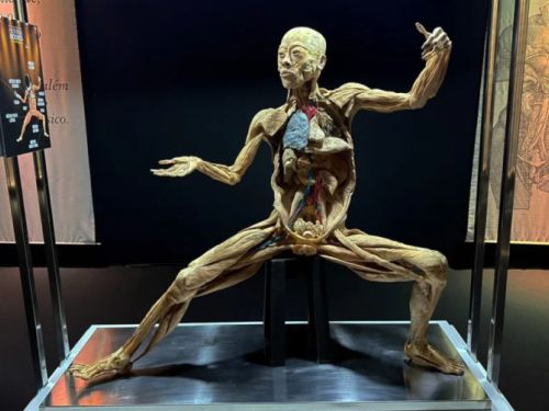 corpo da exposição