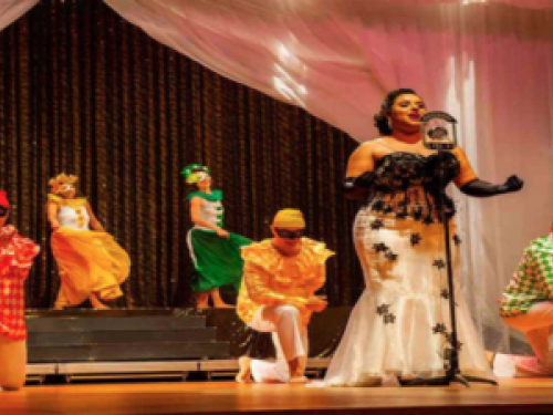 Imagem de um palco e uma mulher no centro cantando 