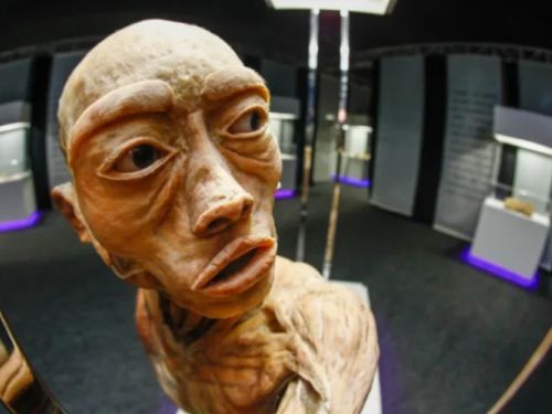 corpo da exposição