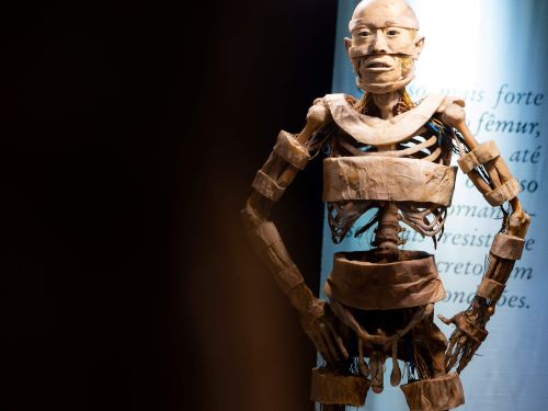 Exposição Internacional: Human Bodies Maravilhas do Corpo Humano