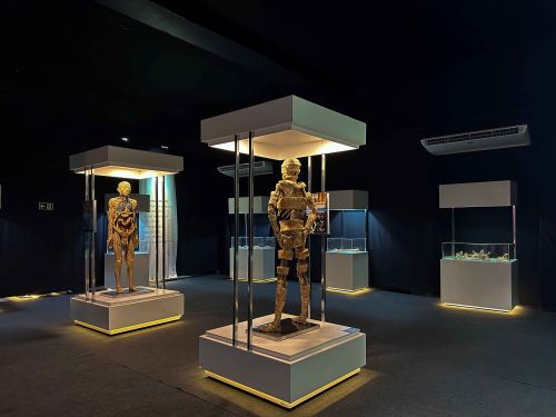 Exposição Internacional: Human Bodies Maravilhas do Corpo Humano