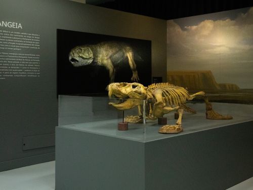 Espaço do Conhecimento UFMG