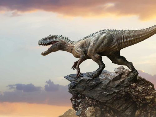 Espaço do Conhecimento UFMG 