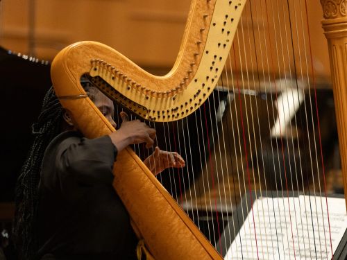 Foto de uma harpa 