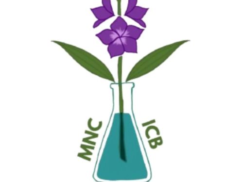 logo do instagram do evento