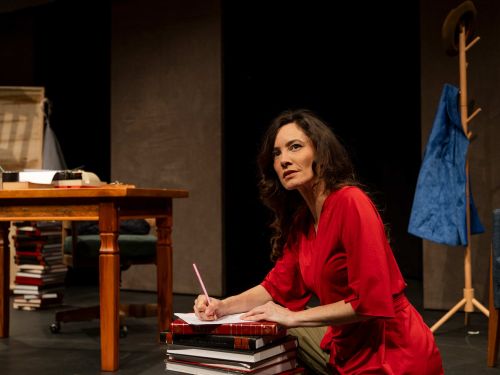 Espetáculo: "Dona Doida"