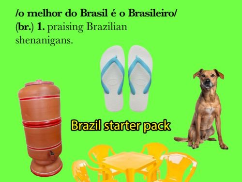 Meme: imagem com fundo verde florescente representando elementos da cultura brasileira. Mensagem escrita em inglês e português "The best of Brazil is the Brazilian/O melhor do Brasil é o brasileiro". Foto de um cachorro caramelo, havaianas branco, jogo de mesa de bar amarelo e filtro de barro.