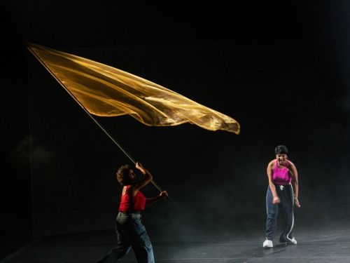 Foto de umas das partes da apresentação onde uma integrante segura uma bandeira amarela 