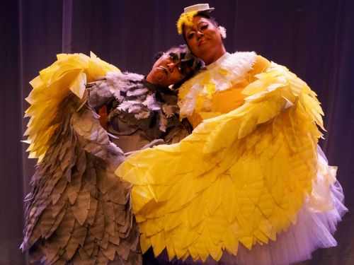 Espetáculo: O Patinho Feio