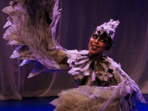 Espetáculo: O Patinho Feio