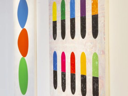 Foto da exposição do artista Gustavo Maia: Efeito de Borda 