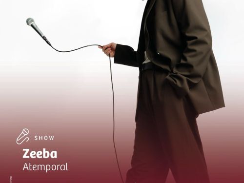 Imagem do artista Zeeba