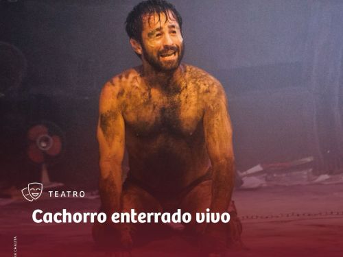 Foto de capa da peça teatral contendo informações e foto do artista 
