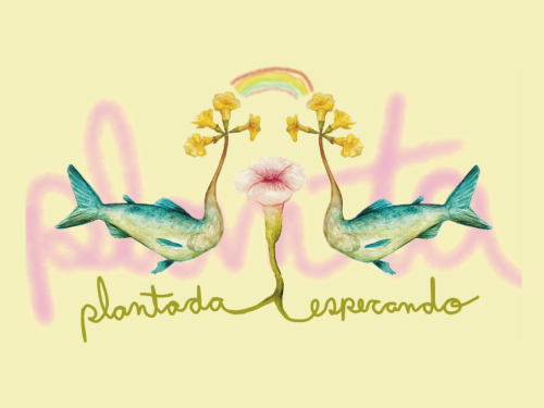 Exposição: "Plantada Esperando" da artista Efe Godoy