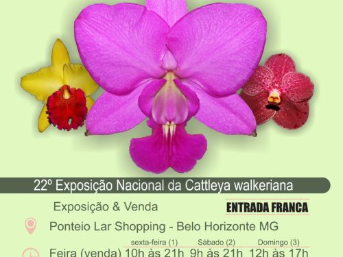 Exposição e Feira de Orquídea