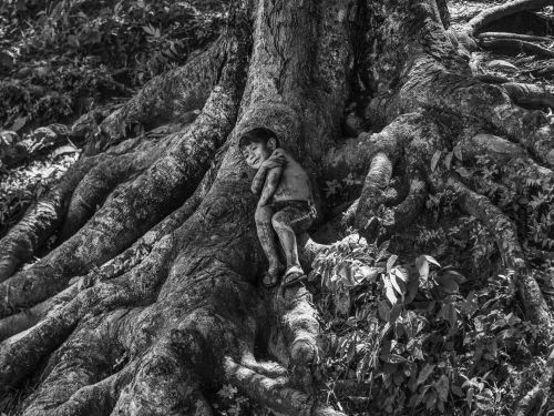 Foto em preto e branco de uma criança deitada na arvore