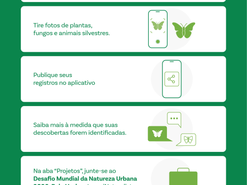 Flyer Desafio Mundial da Natureza Urbana 2026