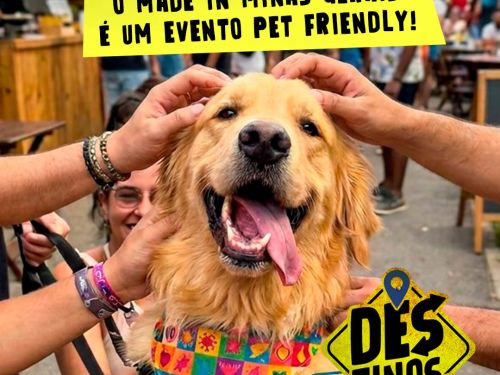 Foto ilustrativa de pessoas dando carinho a um cachorro para dizer que o evento é pet friendly 