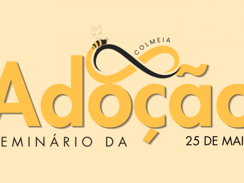 Seminário: Os Laços da Adoção