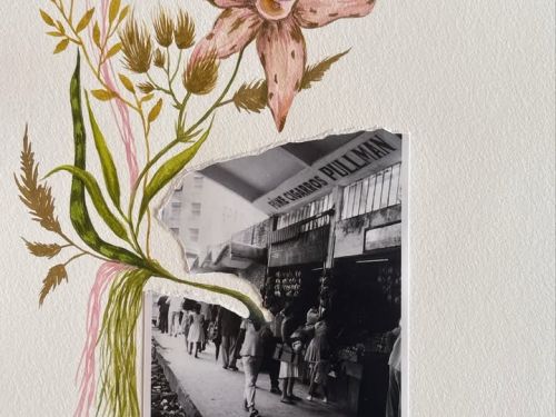 Uma das artes da artista Efe Godoy