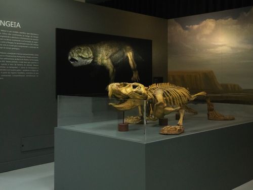 Visita mediada à exposição “Demasiado Humano” - Espaço do Conhecimento UFMG