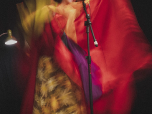 Fotografia artistíca da cantora artista Patrícia Ahmaral 