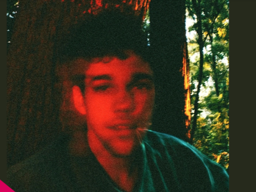 Fotografia em estilo granulado de um jovem de pele clara e cabelos escuros, com um efeito de dupla exposição que deixa seu rosto avermelhado. Ele está em uma floresta, com troncos de árvores e folhagens ao fundo iluminados pela luz do sol.