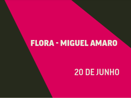 Banner digital com corte diagonal. As laterais são pretas e o centro é composto por uma grande faixa rosa vibrante. No meio, lê-se o texto em letras brancas: "FLORA - MIGUEL AMARO" e, abaixo, a data "20 DE JUNHO".