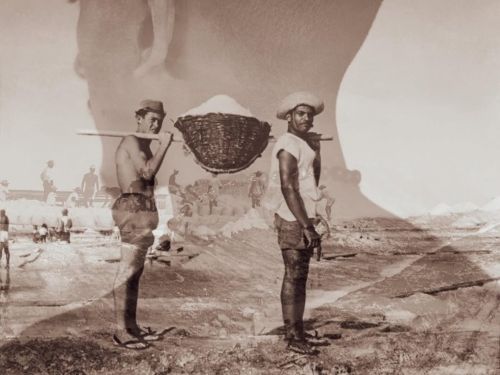 Obra "o sal da terra"