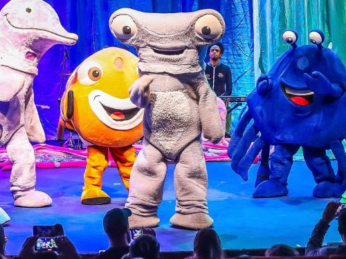 Foto tirada a partir da plateia de um teatro, mostrando quatro atores no palco usando fantasias grandes de animais marinhos: um golfinho rosa claro à esquerda, um peixe-palhaço amarelo e laranja, um tubarão-martelo cinza bem ao centro e um caranguejo azul-escuro à direita. Ao fundo, um músico aparece atrás de um teclado sob iluminação azul. No primeiro plano, em silhueta escura, vê-se a cabeça das pessoas na plateia assistindo ao espetáculo e registrando com celulares.