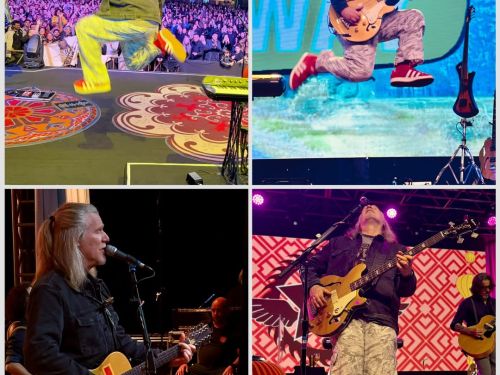 fotos do show homem cantando e tocando