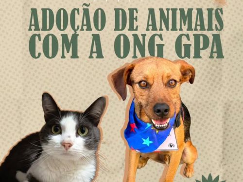Paraíso Veg - Festival e Feira Vegana