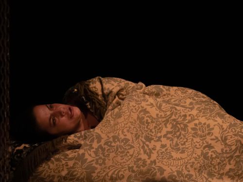 Espetáculo: "A Obscena Senhora H – Paixão e Obra de Hilda Hilst"