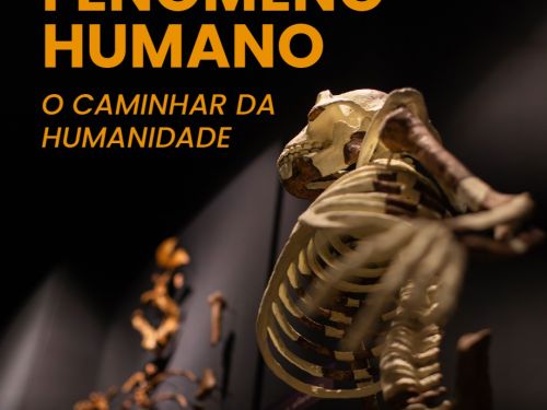 Foto de capa para a exposição no museu da puc minas: “O Fenômeno Humano: o Caminhar da Humanidade”