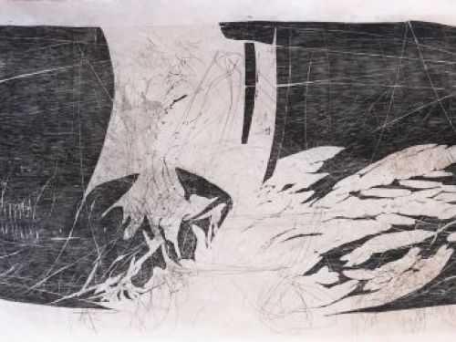 Foto da obra "arcada sombras"